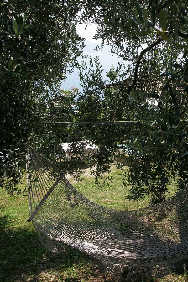 Appartamenti Serena - Nonna Agnese Gargnano Luaran gambar
